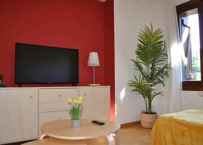 Cochata, Práctico Y Céntrico - Arafita *